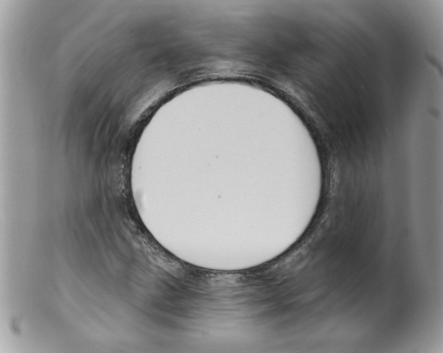 X0000098131211200805151107