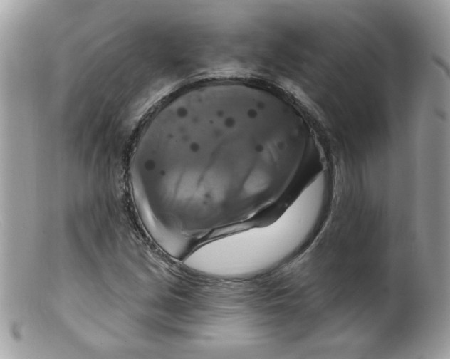 X0000098131213200805151107