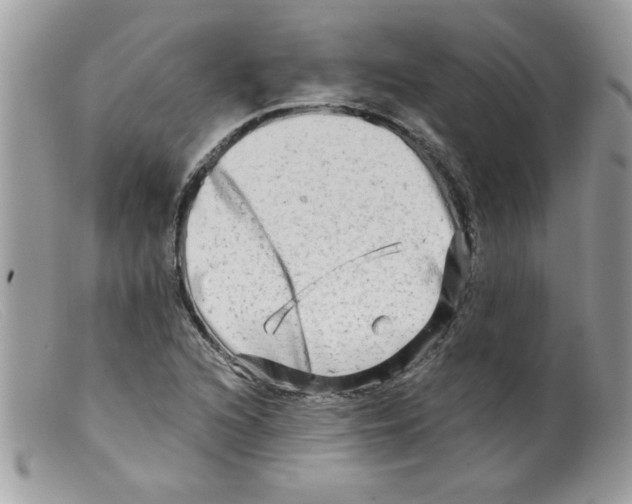 X0000098131216200805151107