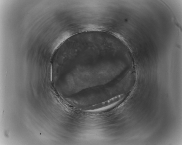 X0000098131219200805151107