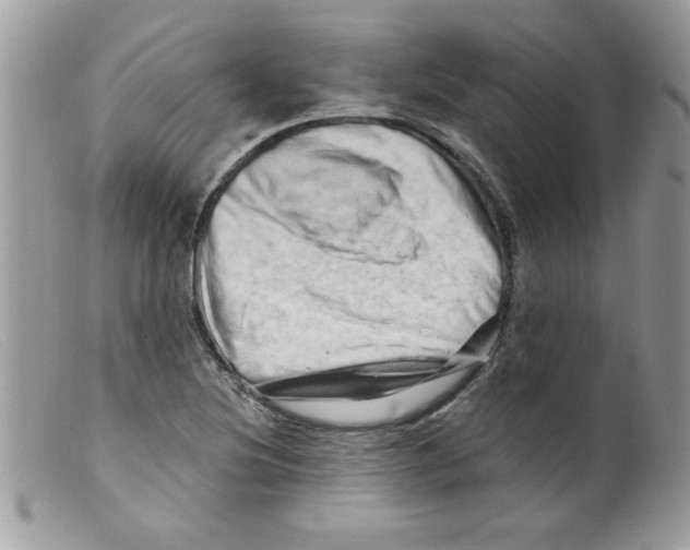 X0000098131220200805151107