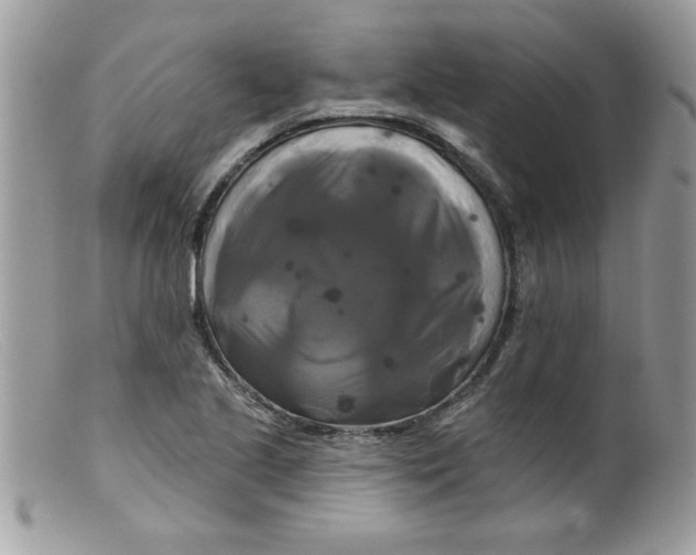X0000098131221200805151107