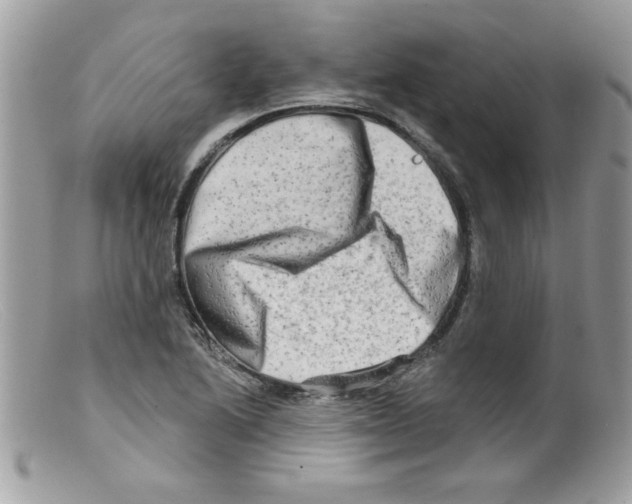 X0000098131222200805151107