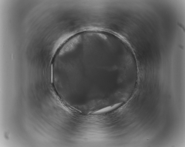 X0000098131223200805151107