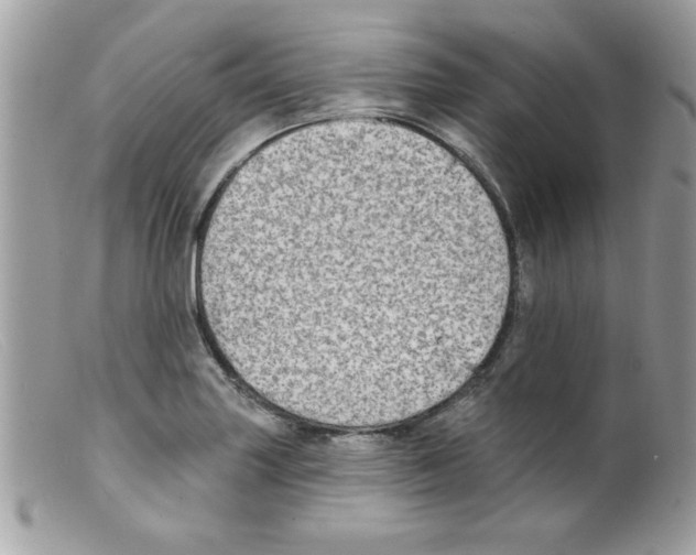 X0000098131227200805151107
