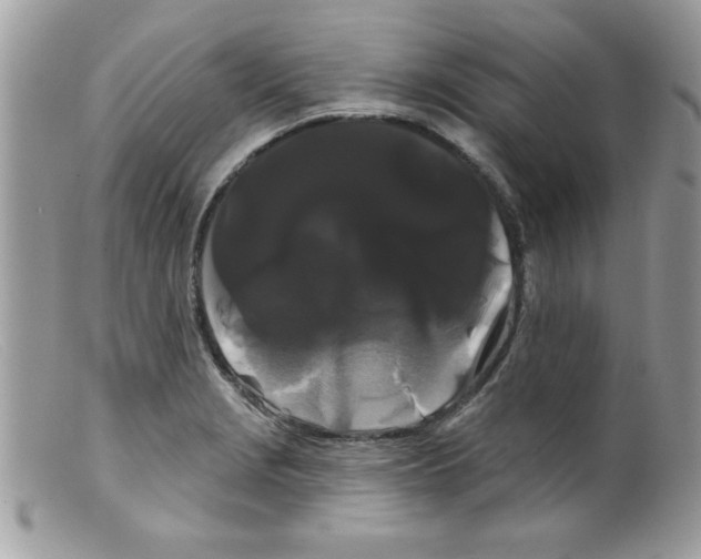X0000098131229200805151107
