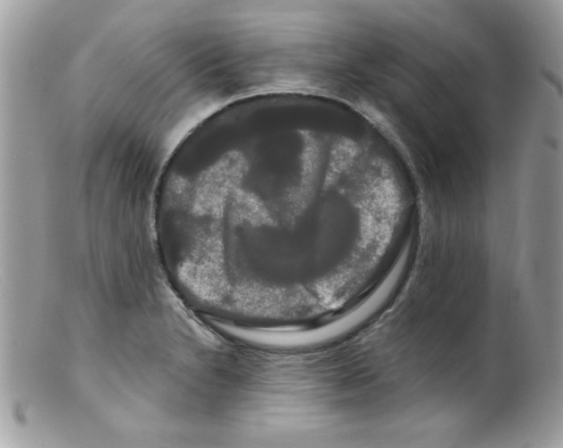 X0000098131230200805151107