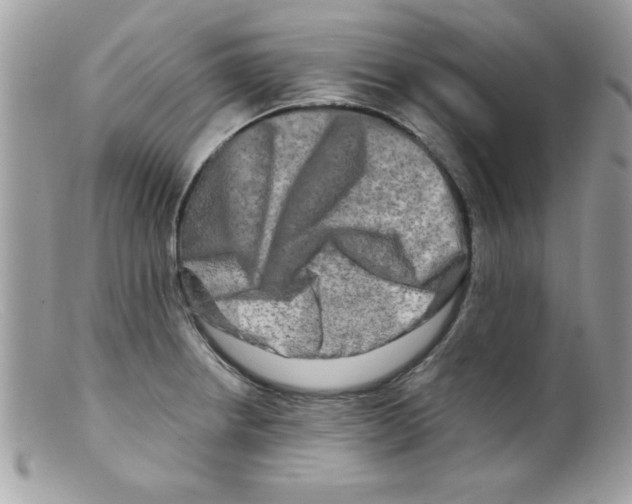 X0000098131234200805151107