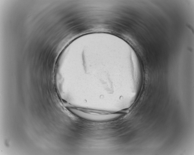 X0000098131236200805151108