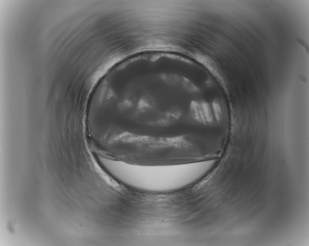 X0000098131237200805151108