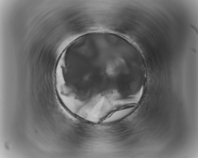 X0000098131239200805151108