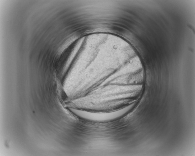 X0000098131241200805151108