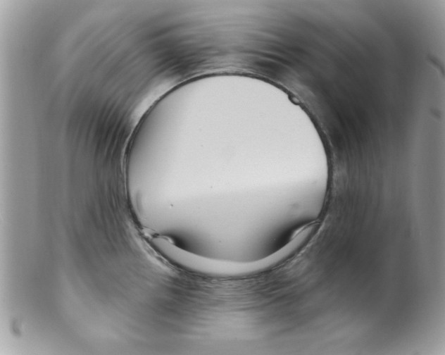 X0000098131242200805151108
