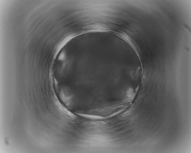 X0000098131243200805151108