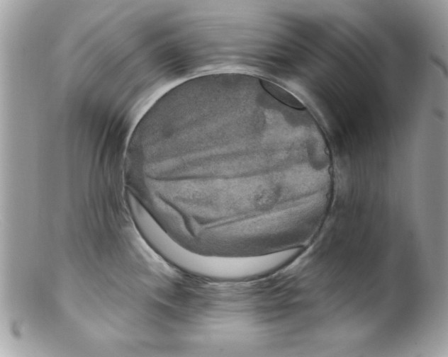 X0000098131244200805151108