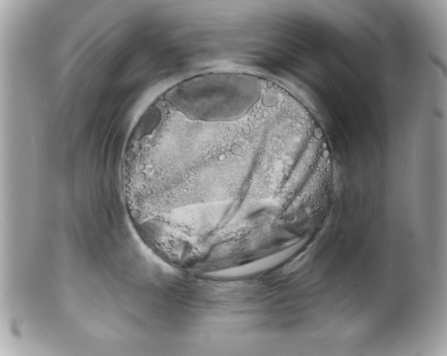 X0000098131247200805151108