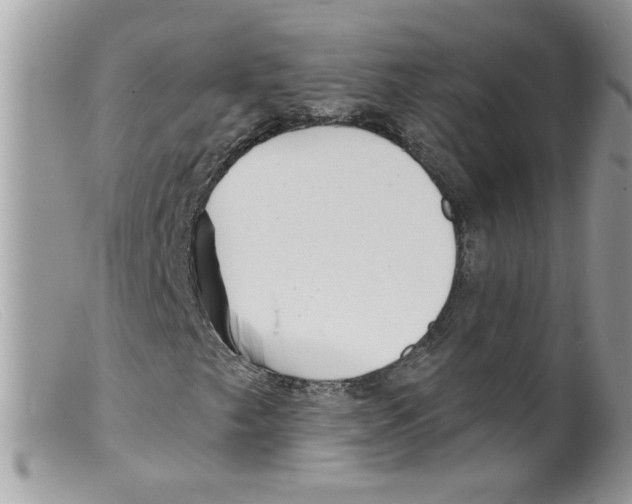 X0000098131249200805151107