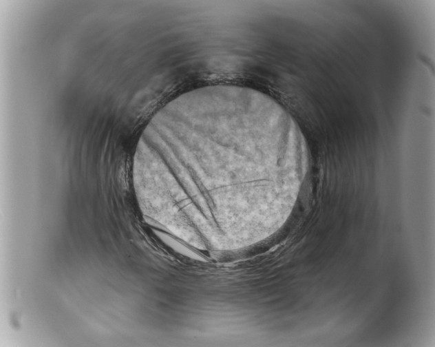X0000098131250200805151107