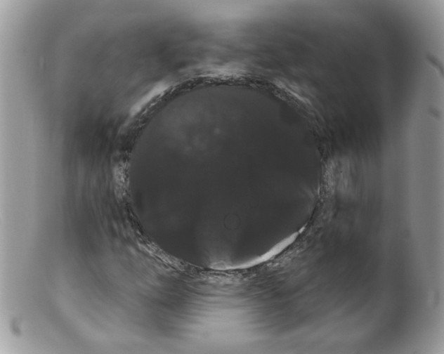 X0000098131254200805151107