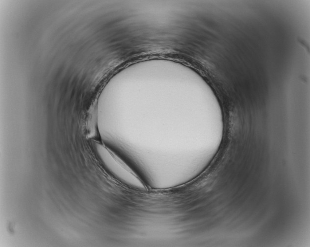 X0000098131257200805151107