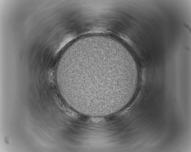 X0000098131258200805151107