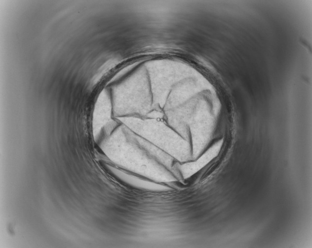 X0000098131259200805151107
