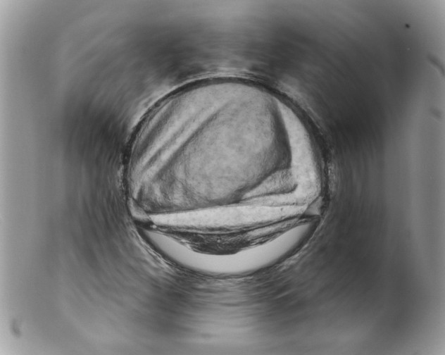 X0000098131260200805151107