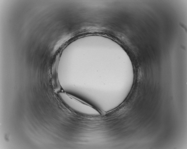 X0000098131261200805151107