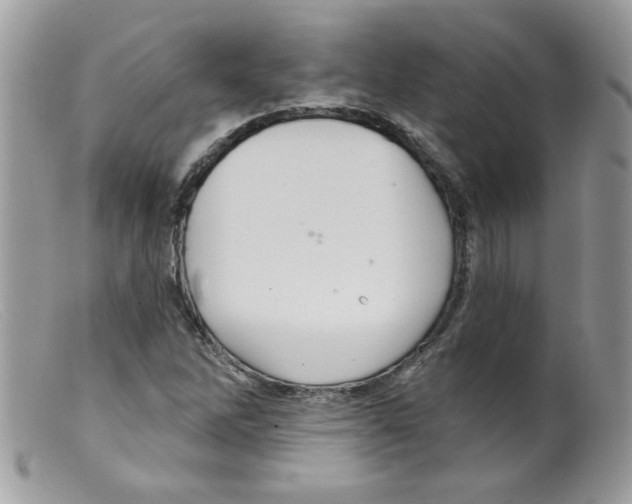 X0000098131262200805151107