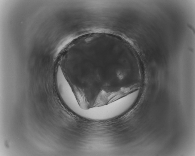 X0000098131263200805151107