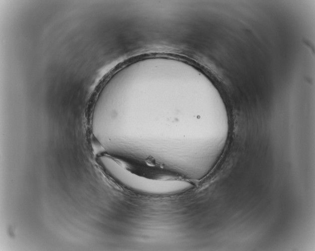 X0000098131264200805151107