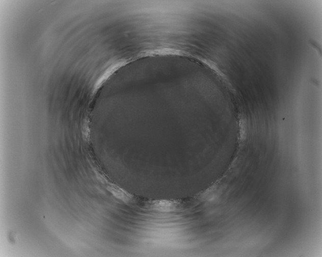 X0000098131266200805151107