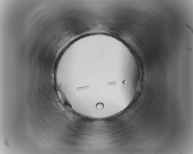 X0000098131268200805151107