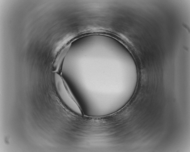 X0000098131269200805151107