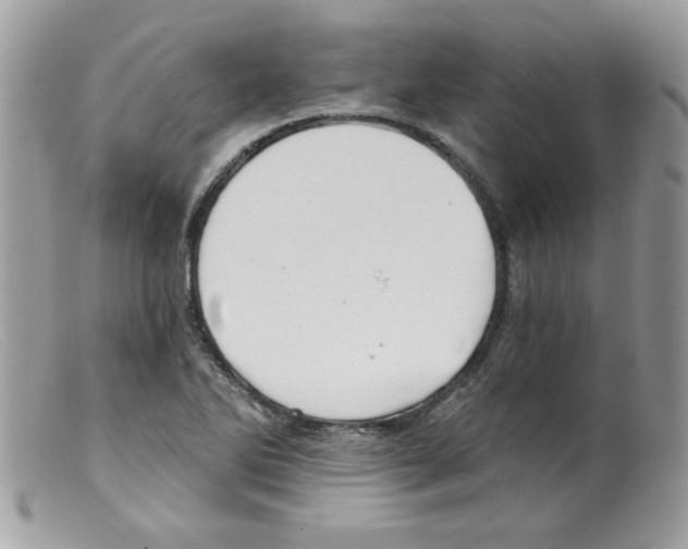 X0000098131270200805151107