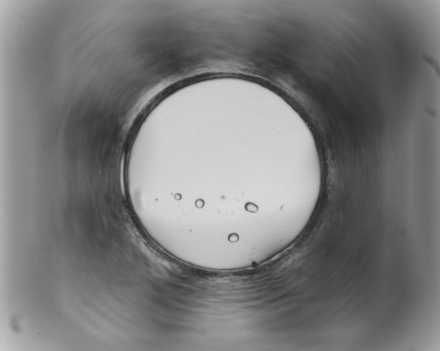 X0000098131272200805151107