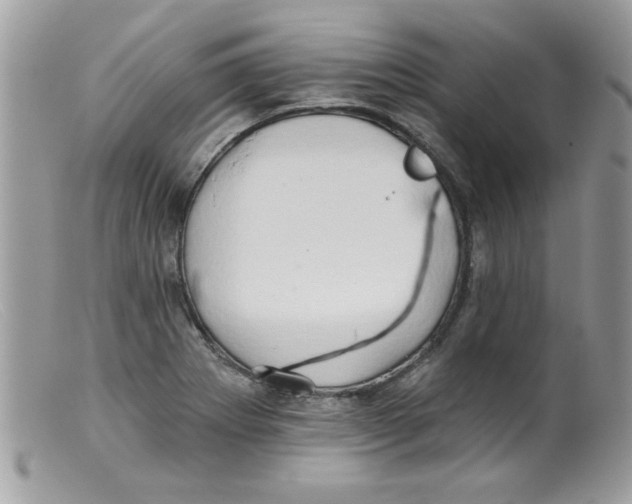 X0000098131273200805151107