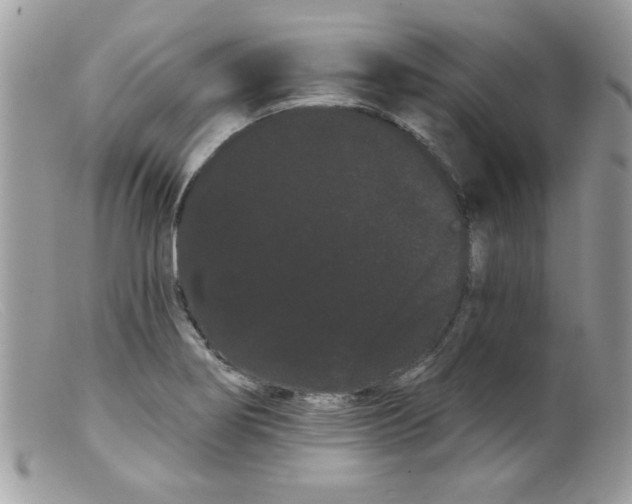 X0000098131274200805151106