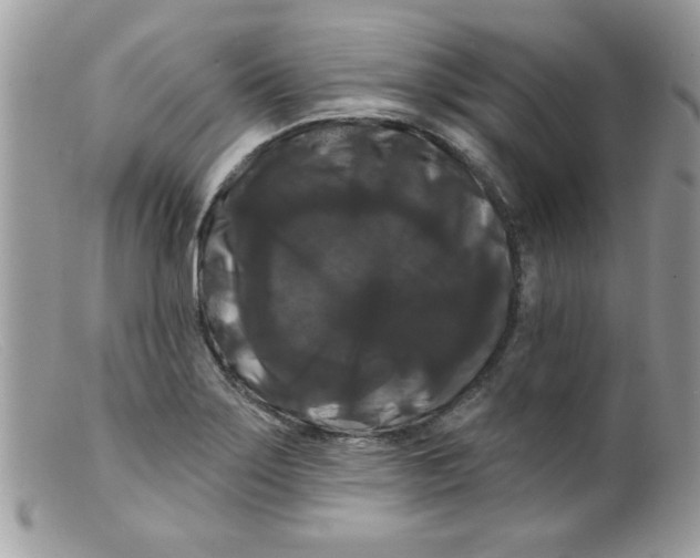 X0000098131275200805151106
