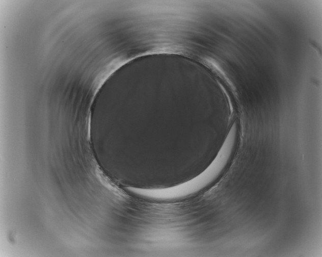 X0000098131276200805151106