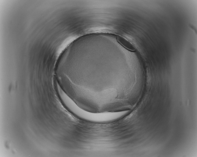 X0000098131277200805151106