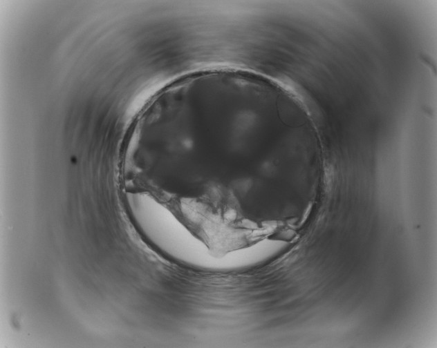 X0000098131279200805151106