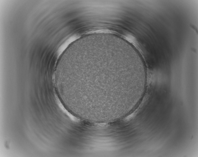X0000098131282200805151106