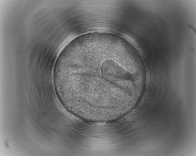 X0000098131283200805151106