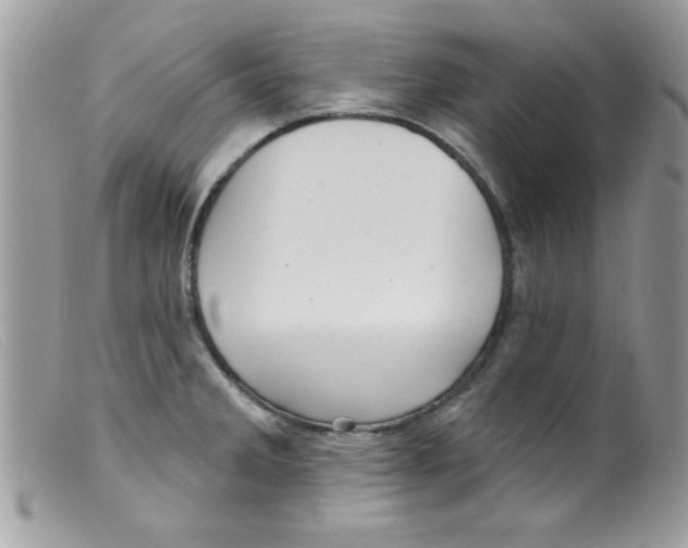 X0000098131285200805151106