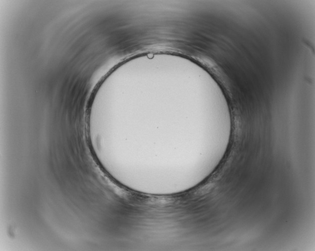 X0000098131286200805151106