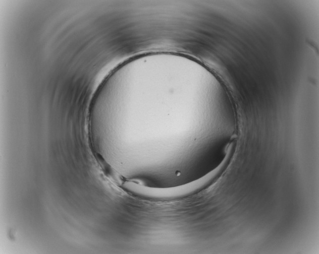 X0000098131288200805151106