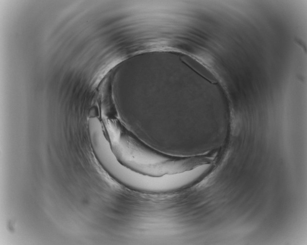 X0000098131289200805151106