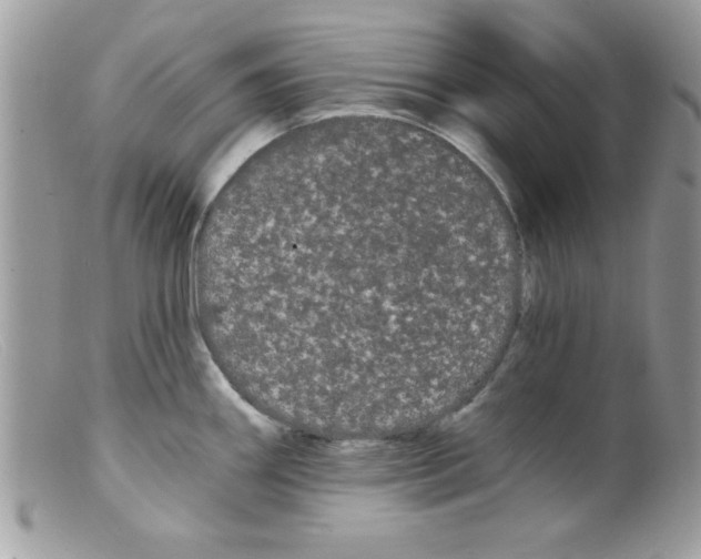 X0000098131290200805151106