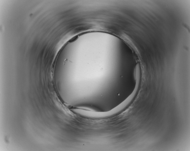 X0000098131292200805151106